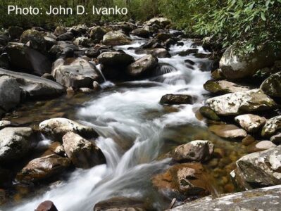 Ecotourism in Gatlinburg, Tennessee, Part 1 Image